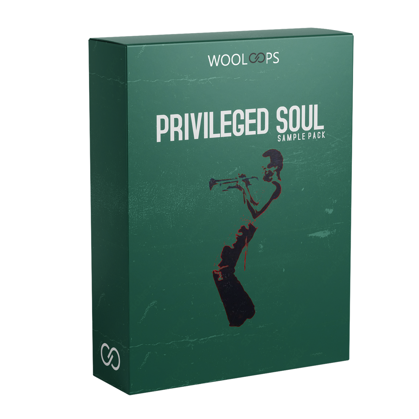 PRIVILAGED SOUL copy