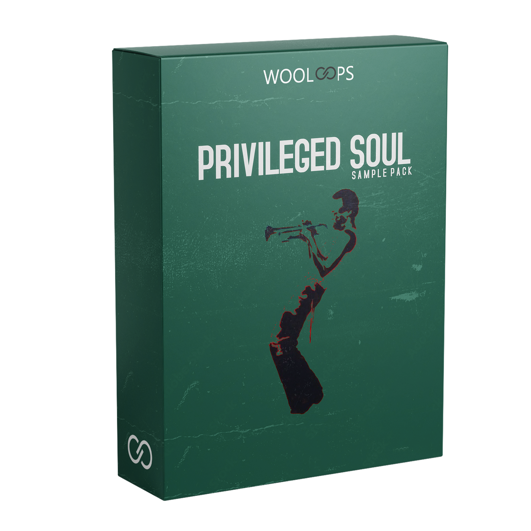 PRIVILAGED SOUL copy